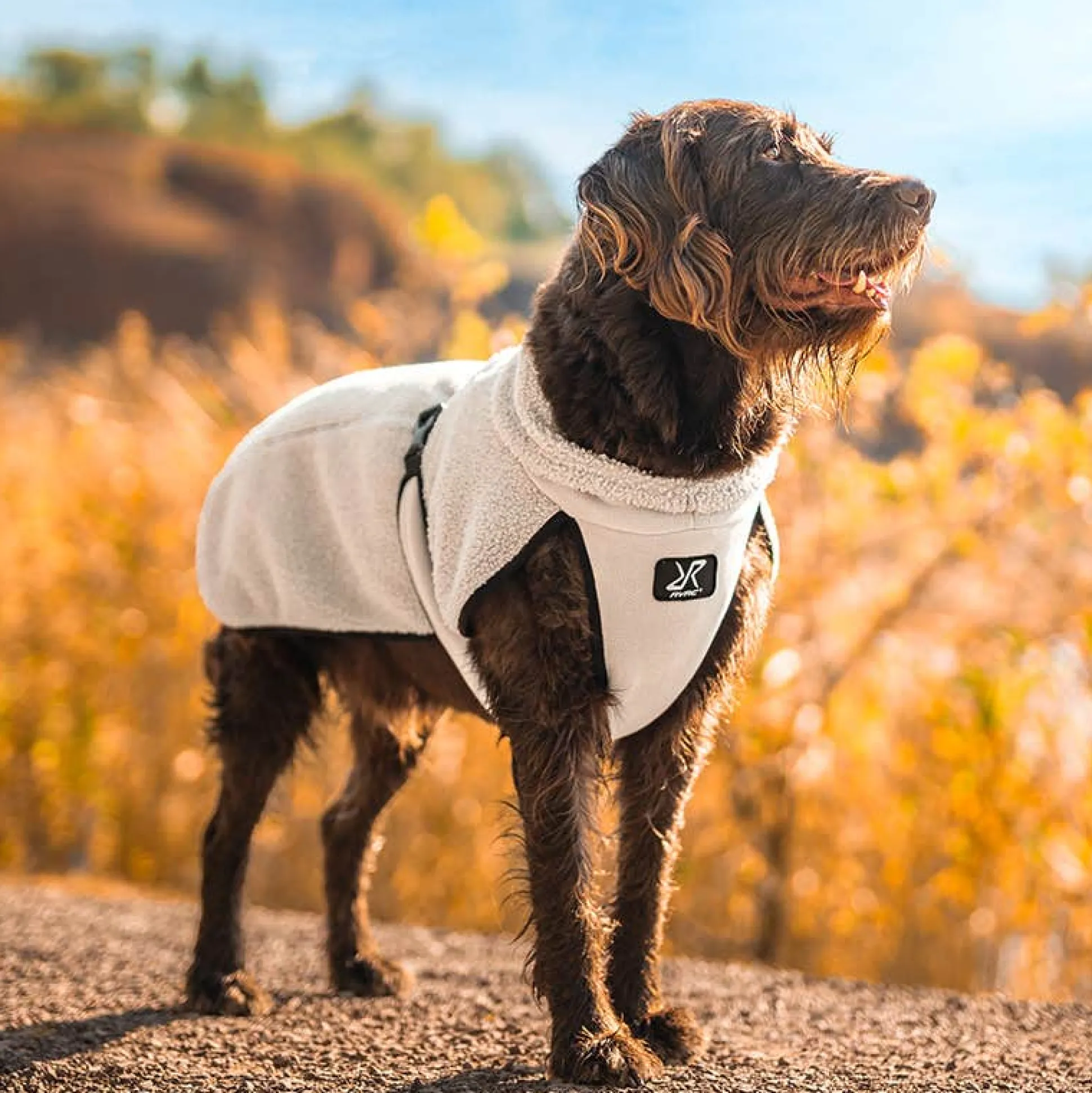 Bigfoot Dog Jacket Koira