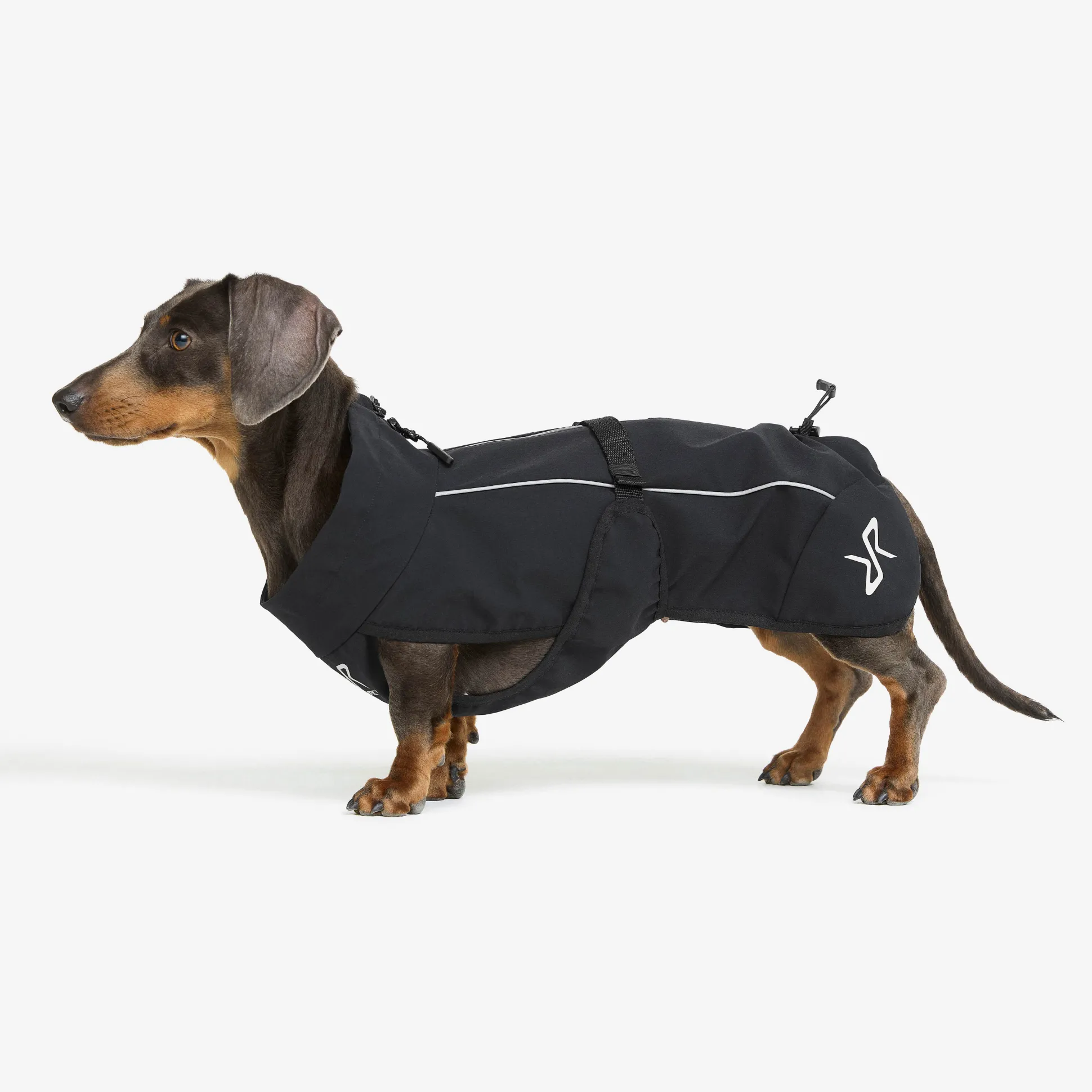 Cyclone Dog Jacket Koira