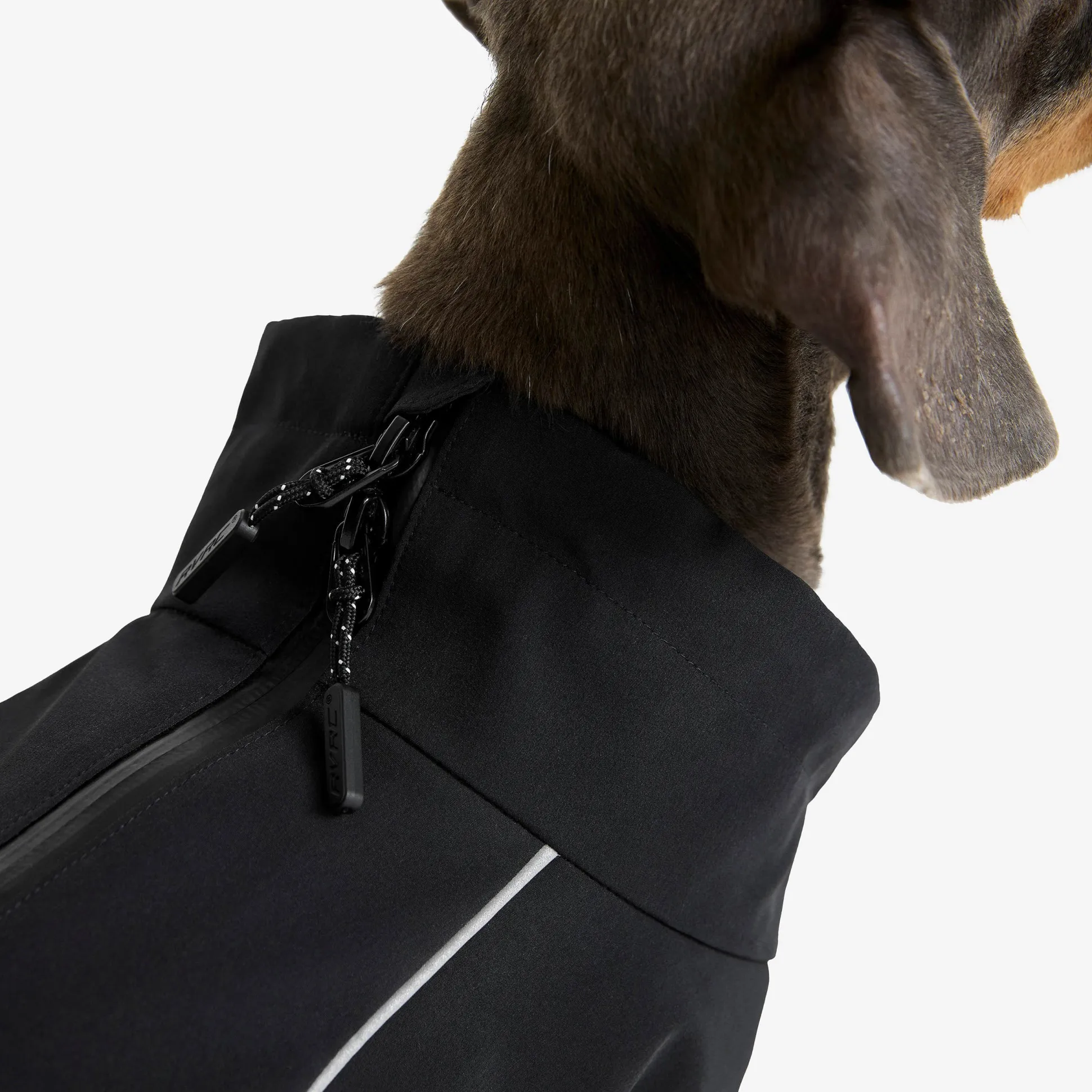 Cyclone Dog Jacket Koira