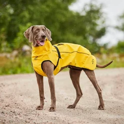 Cyclone Dog Jacket Koira
